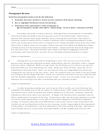 Paragraph Organization Worksheet