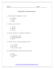 Tadpole Question Worksheet