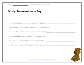 Teddy Questions Worksheet