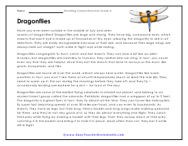 Dragonflies Reading Worksheet