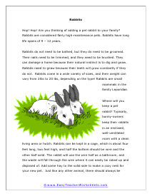 Rabbits Reading Worksheet 1