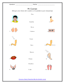 French Noun Worksheets