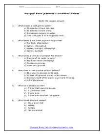 Without Leaves Multiple Choice Worksheet