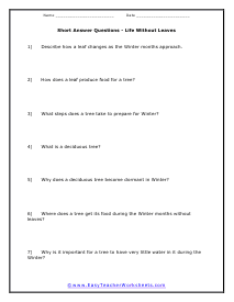 Without Leaves Short Answer Worksheet