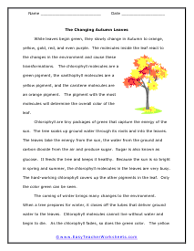 Leaves Reading Worksheet