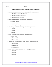 Campaign Multiple Choice Worksheet