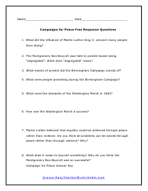 Campaign Free Response Worksheet