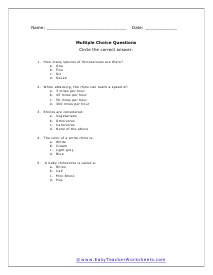 Rhinoceros Questions Worksheet