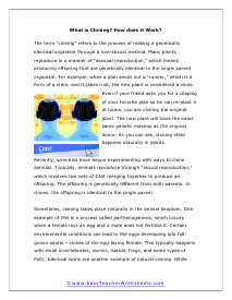 What is Cloning Worksheet