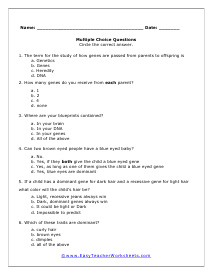 Look Alike Multiple Choice Worksheet