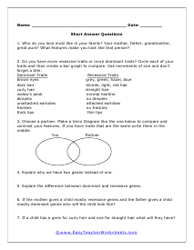 Looks Short Answer Worksheet