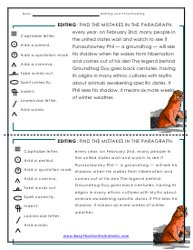 Proofreading Worksheet