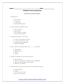 Multiple Choice Worksheet