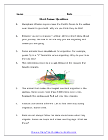 Short Answer Worksheet