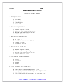 Plant Multiple Choice Worksheet