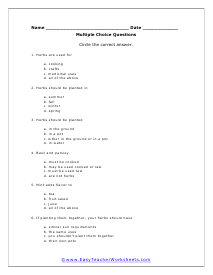 Multiple Choice Worksheet