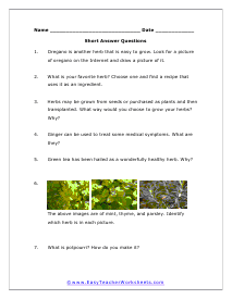 Short Answer Worksheet