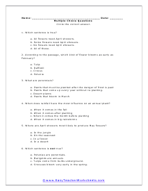 Questions Worksheet