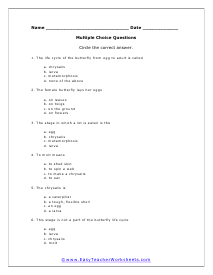 Butterfly Short Answer Worksheet