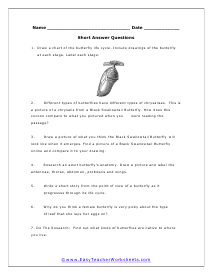 Multiple Choice Worksheet