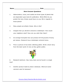 Bees Short Answer Worksheet