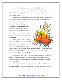 Wildfires Reading Worksheet