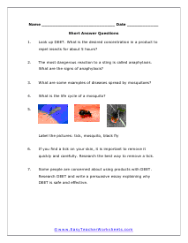 Bug Bites Free Response Worksheet