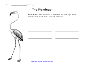 Flamingo Worksheet