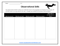 Observation Worksheet