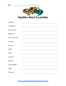Reptiles Worksheet