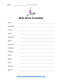 Birds Worksheet