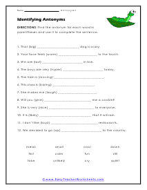 Identification Worksheet