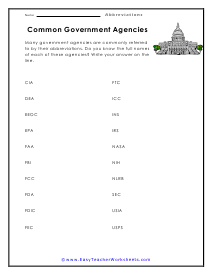 Government Worksheet