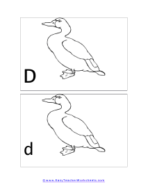 Letter D Split Flashcard