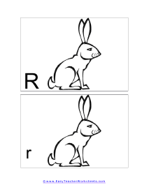 Letter R Split Flashcard