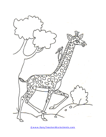 Bird Riding on Giraffe Worksheet