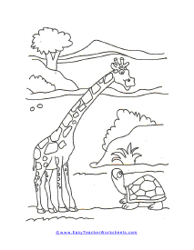Turtle and Giraffe Worksheet