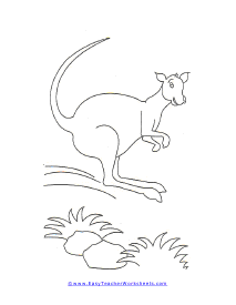 Kangaroo Worksheet