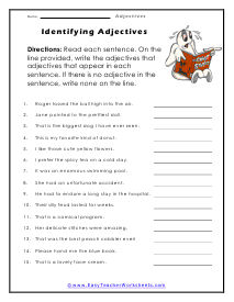 Identification Worksheet