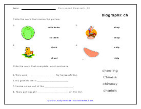 Identification Worksheet