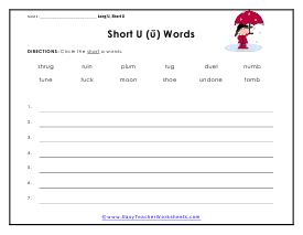 Identification Worksheet