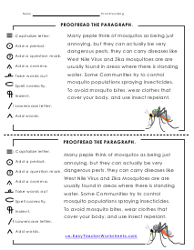 Paragraph Worksheet