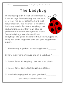 Ladybug Worksheet