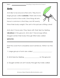 Ants Reading Worksheet