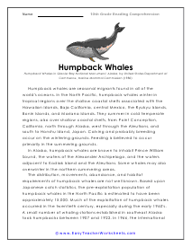 Humpback Whales Worksheet