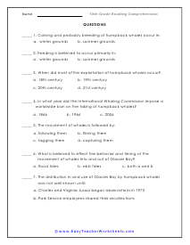 Question Sheet