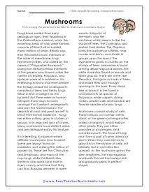Mushrooms Reading Worksheet