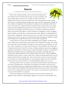 Insects Reading Worksheet