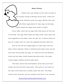 Baby Chicks Reading Worksheet