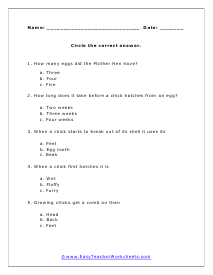 Baby Chicks Multiple Choice Worksheet